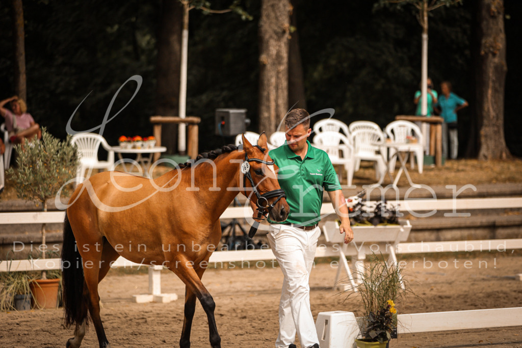 11.So00042 | Leoni Ertmer Photography - Realisiert mit Pictrs.com