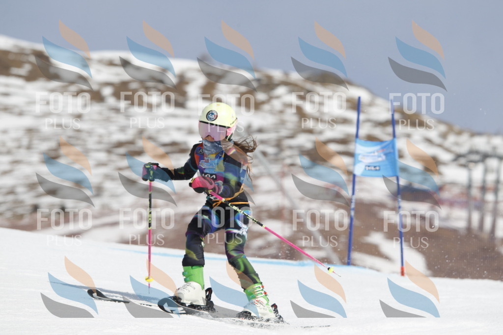 _U3G1763 | holidayphoto