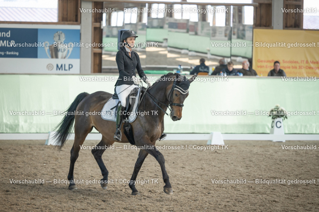 _D5A2945 | Emotionale Pferde- & People-Fotografie rund um Heidelberg, Leimen & Umgebung. Natürliche Fotos von Pferd, Mensch & Familie. Jetzt Termin sichern!