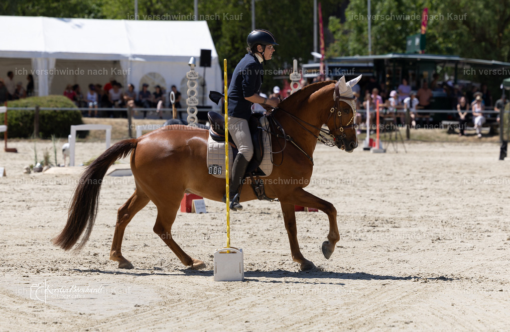 WM_Speed_92_KerstinBernhardt-4 | working equitationturnier fotograf videograf stoibphotography marixx film working equitation deutschland reitsport turnierfotografie eventfotografie equestrian events