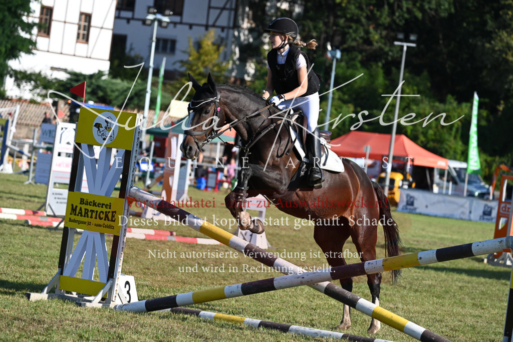DSC_4680 | Pferde- und Turnierfotografie in Westsachsen. Pferdeportraits, Auftragszeichnungen und intuitive Kunst.