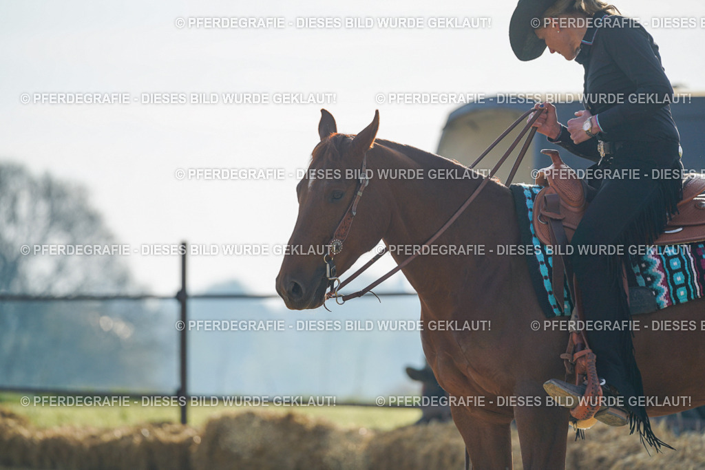 DSC00099 | Pferdegrafie