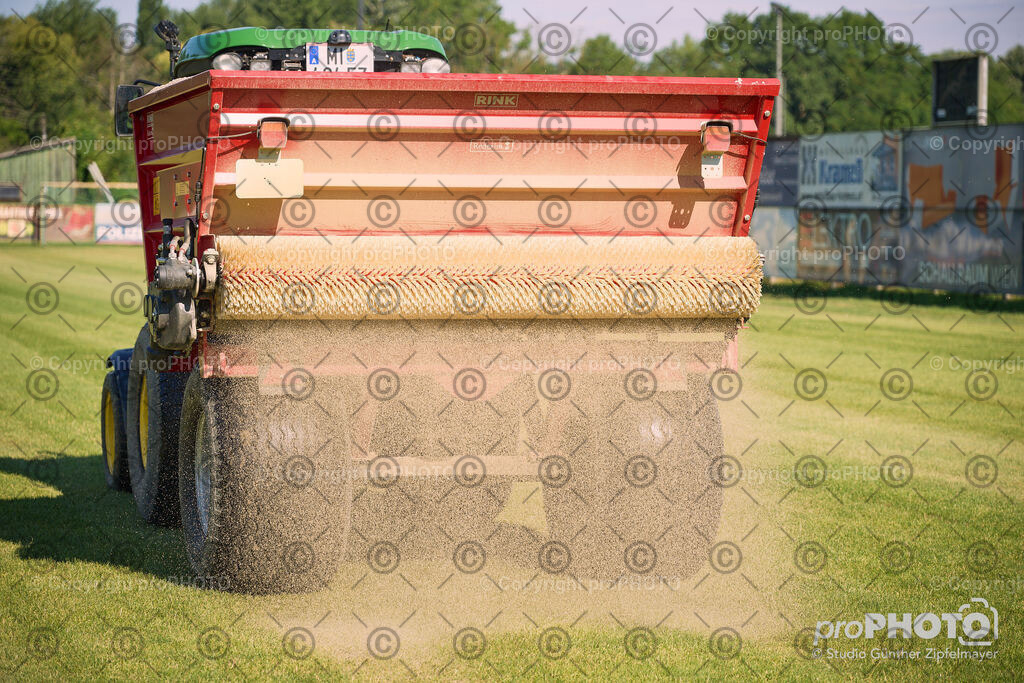 202507_Rernböck-Rasen_NZ9_1272 | proPHOTO - Realisiert mit Pictrs.com