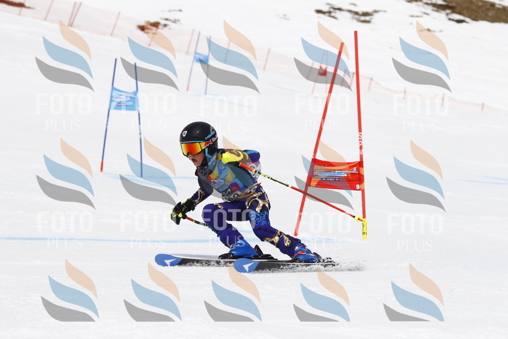 _U3G7100 | holidayphoto