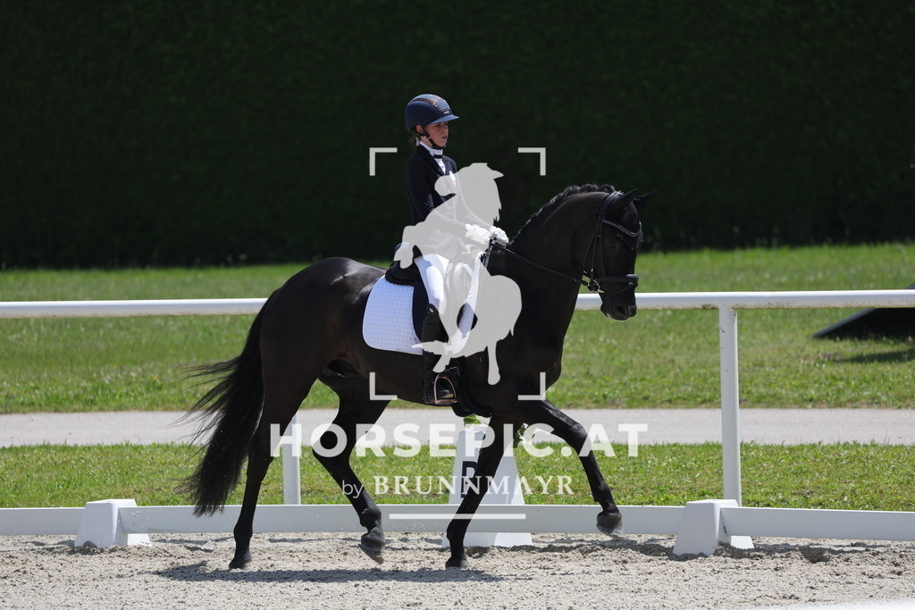 0P6A5673 | Willkommen bei Brunnmayr - Design & Fotografie – Ihrem Spezialisten für Reitturniere und Pferdeveranstaltungen in Oberösterreich, Salzburg und Bayern! Seit über 17 Jahren sind wir leidenschaftlich dabei.