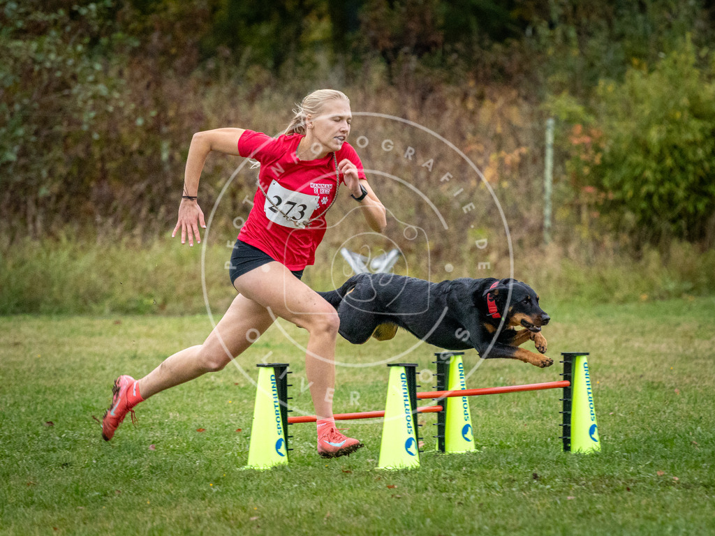 Pfotenfotografie_DV3A1442 | Hundefotografie, Tierfotograf, Pfotenfotografie, Fotoshooting Hund, Hunde Portrait, Hundesport, Hundeportraits, Heideshooting, Hunde, Sportfotograf, Hundefotograf, Turnierhundsport, THS,  - Realisiert mit Pictrs.com
