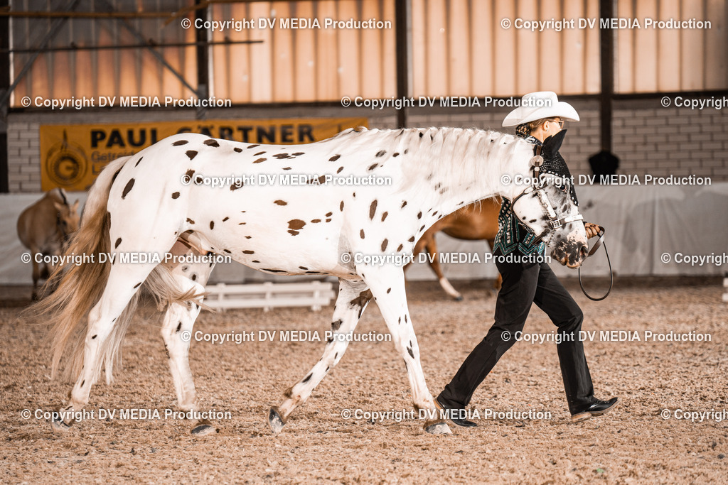 ZH200131 | dv-media-shop - Realisiert mit Pictrs.com