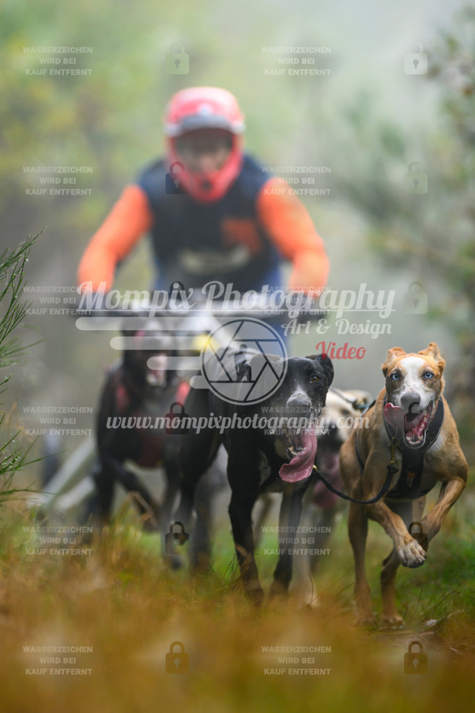 MompixPhotography_20TSB_E4_Kart-7 | PayLife