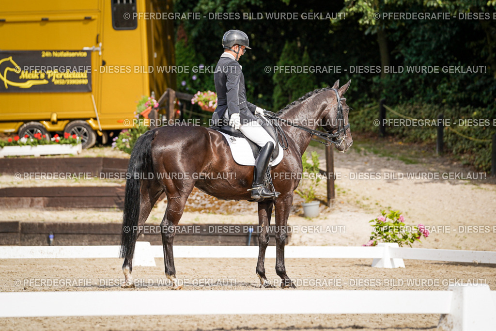 DSC06863 | Pferdegrafie