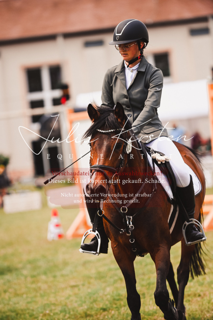 DSC_6939 | Pferde- und Turnierfotografie in Westsachsen. Pferdeportraits, Auftragszeichnungen und intuitive Kunst.