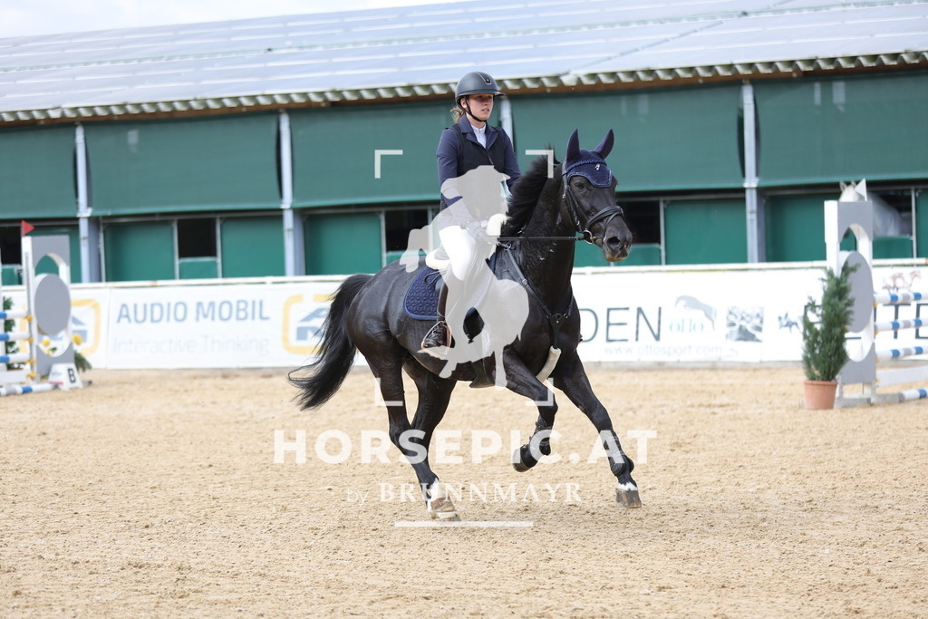 0P6A3311 | Willkommen bei Brunnmayr - Design & Fotografie – Ihrem Spezialisten für Reitturniere und Pferdeveranstaltungen in Oberösterreich, Salzburg und Bayern! Seit über 17 Jahren sind wir leidenschaftlich dabei.