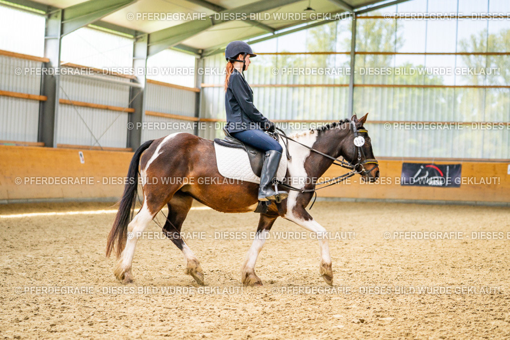 DSC03678 | Pferdegrafie