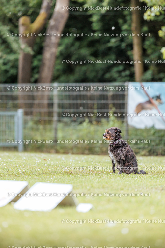 RO-Blumenthal-2026-Nickbest-Hundefotografie-2425 | Dein Hund! Dein Moment! Deine Erinnerungen! Hundefotografie in Bremen Blumenthal. Ich fange die besonderen Momente deines Vierbeiners ein – ob Indoor mit Blitzanlage oder in der freien Natur. Sicher dir dein Moment und dein Termin für eure Erinnerungen.