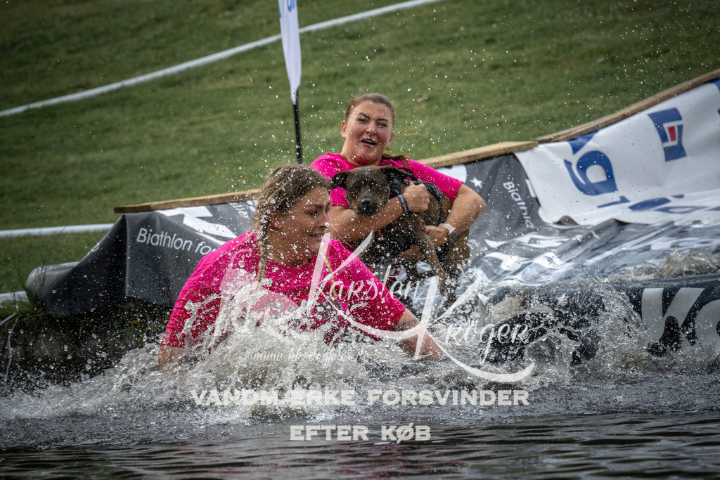 1605_ZZ97703 | kk-dogfotos