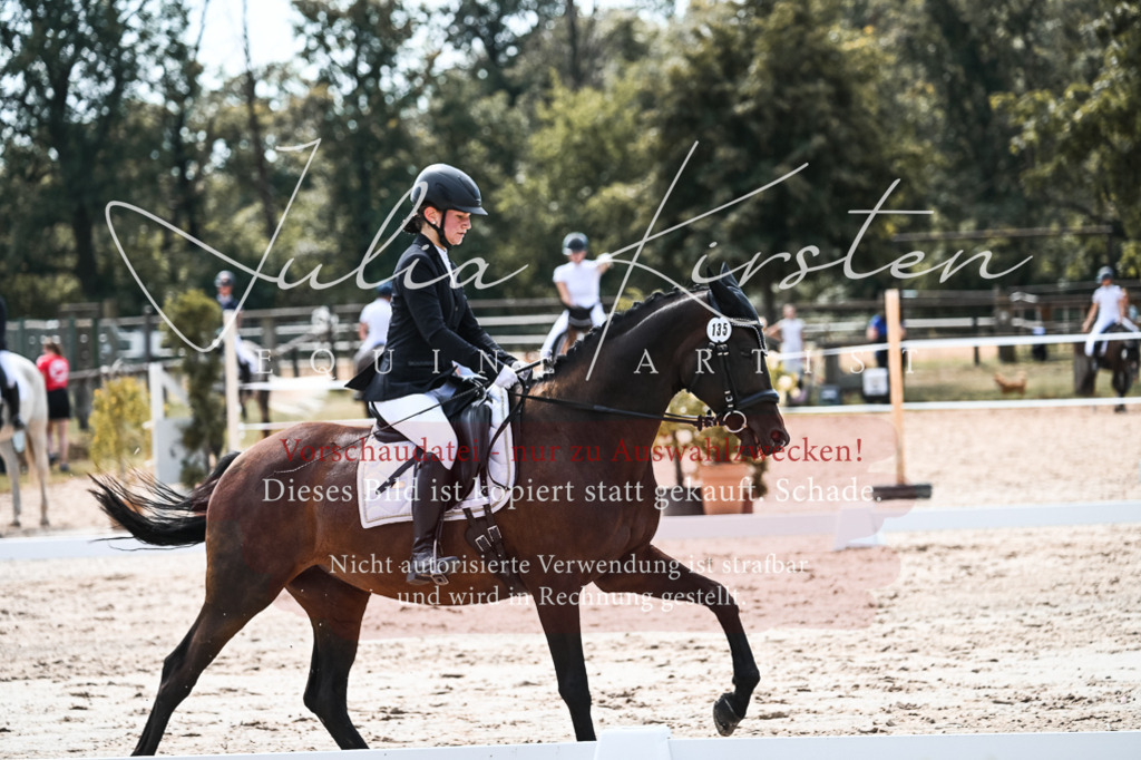 DSC_5279 | Pferde- und Turnierfotografie in Westsachsen. Pferdeportraits, Auftragszeichnungen und intuitive Kunst.