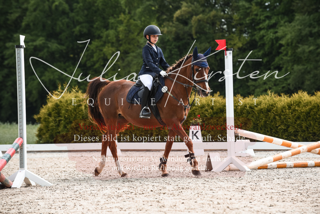 20230518_JK-Röhrsdorf-10-002 | Pferde- und Turnierfotografie in Westsachsen. Pferdeportraits, Auftragszeichnungen und intuitive Kunst.