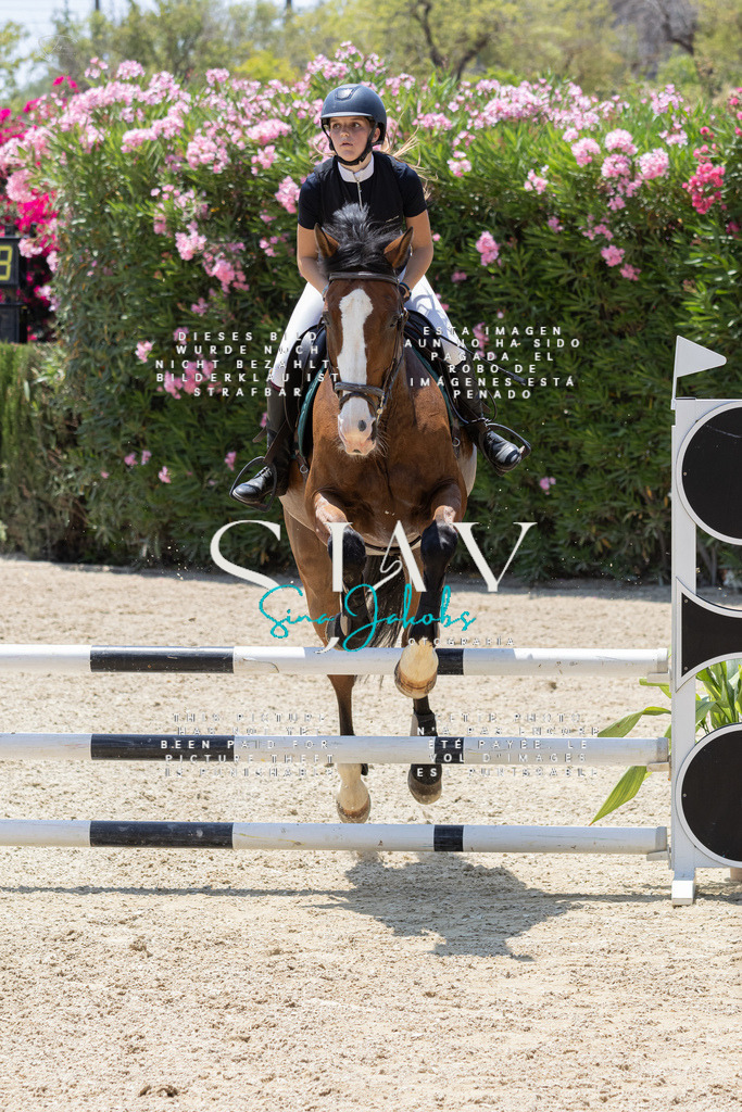 IMG_1958 | s-jay-photography - Realisiert mit Pictrs.com