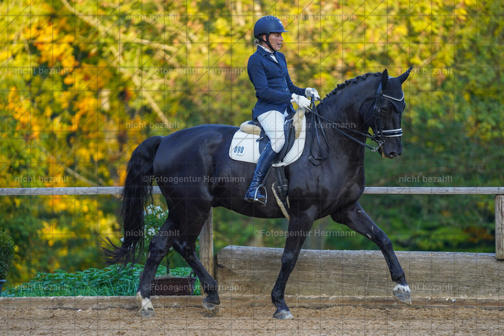 20221007-FAH00556 | Diessen am Ammersee, 2022, Dressur- und Springturnier, Reitsportbilder, Turnierfotografen Bayern, Pferdefotografen, Fotoagentur Herrmann, Turnierbilder