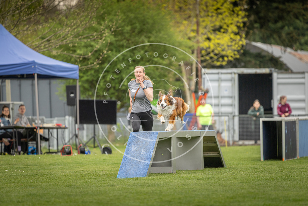 Pfotenfotografie_DV3A1024 | Hundefotografie, Tierfotograf, Pfotenfotografie, Fotoshooting Hund, Hunde Portrait, Hundesport, Hundeportraits, Heideshooting, Hunde, Sportfotograf, Hundefotograf, Turnierhundsport, THS,  - Realisiert mit Pictrs.com