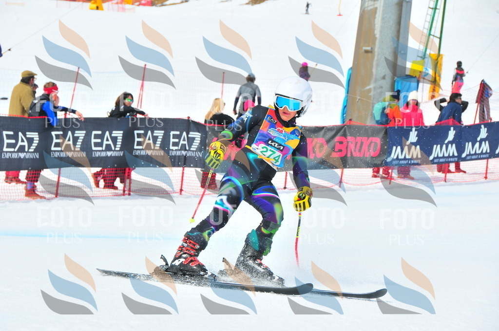 DSC_2550 | holidayphoto