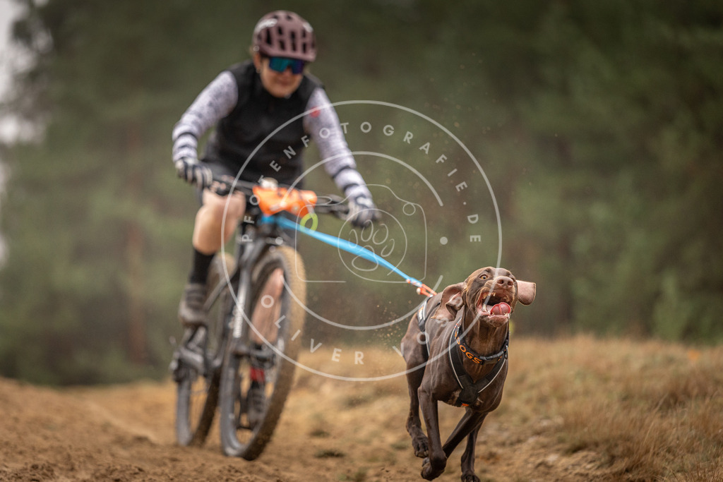 Pfotenfotografie_DV3A3366 | Hundefotografie, Tierfotograf, Pfotenfotografie, Fotoshooting Hund, Hunde Portrait, Hundesport, Hundeportraits, Heideshooting, Hunde, Sportfotograf, Hundefotograf, Turnierhundsport, THS,  - Realisiert mit Pictrs.com