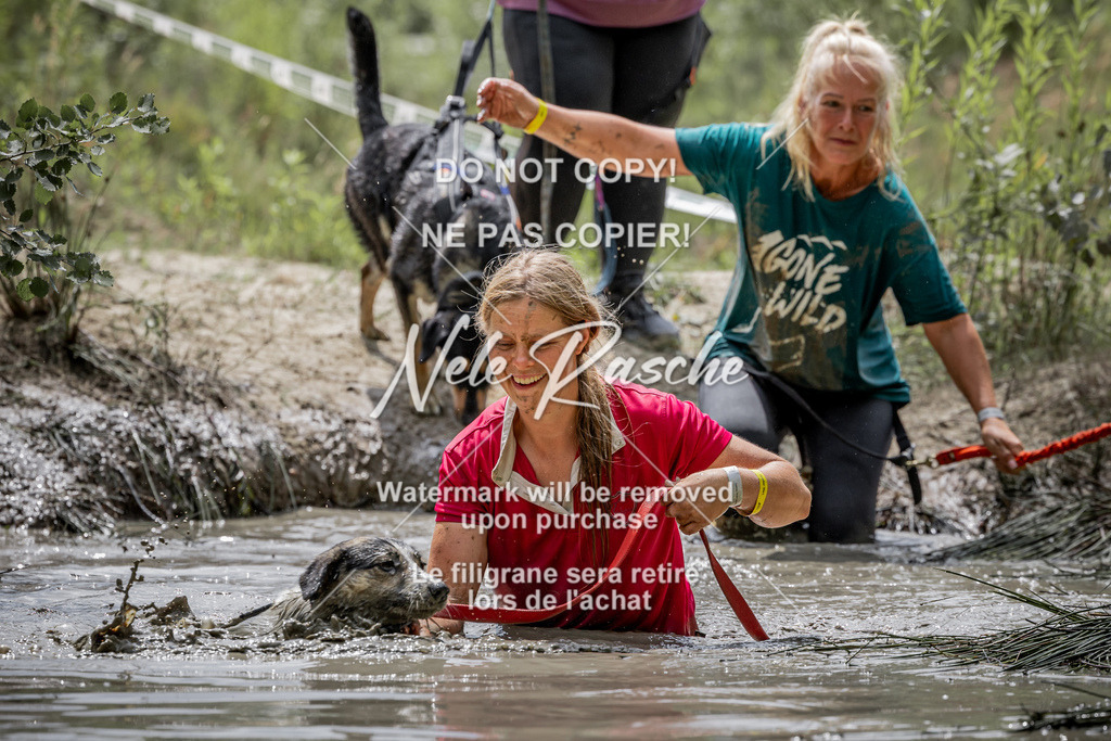 nelerasche_so1230-1300_249 | nelerasche