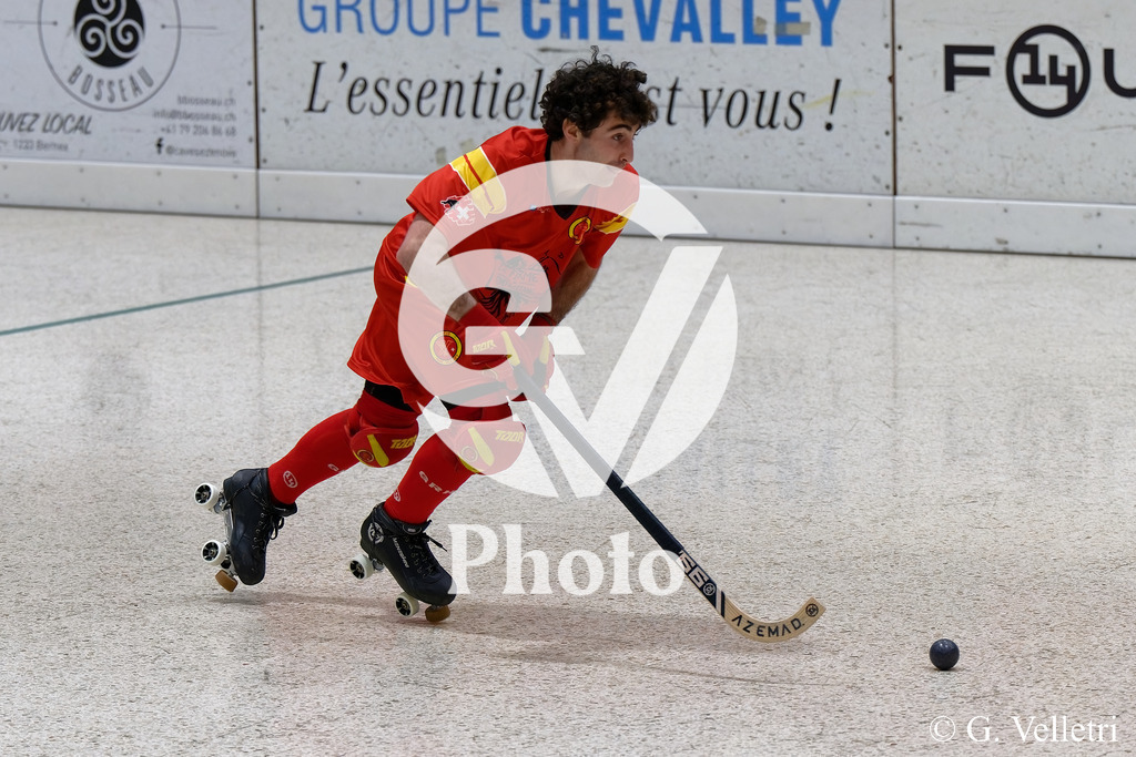 DSC_8562 | Velletri Photo