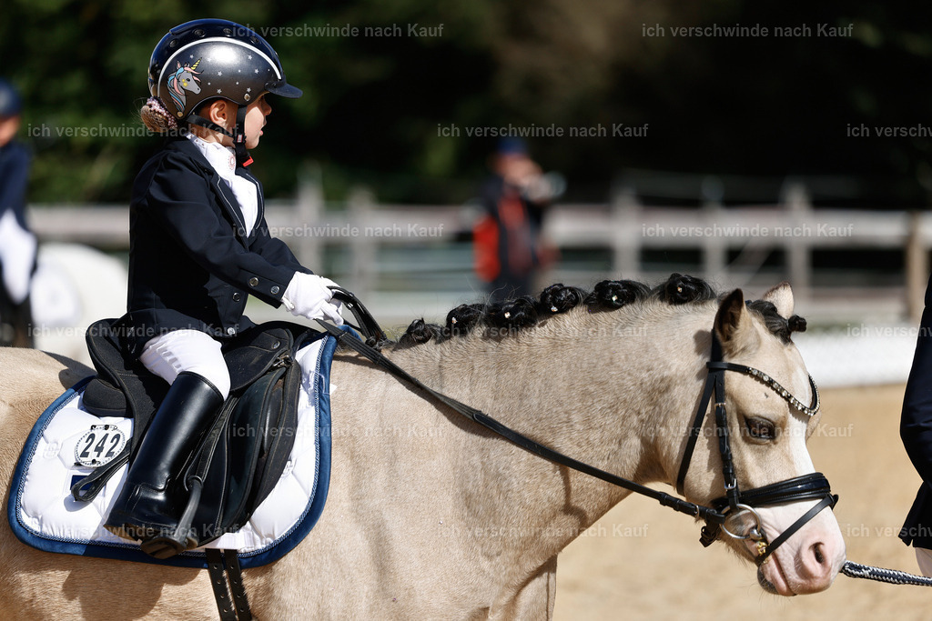01--Ponyführzügel -StoibPH-6675 | working equitationturnier fotograf videograf stoibphotography marixx film working equitation deutschland reitsport turnierfotografie eventfotografie equestrian events