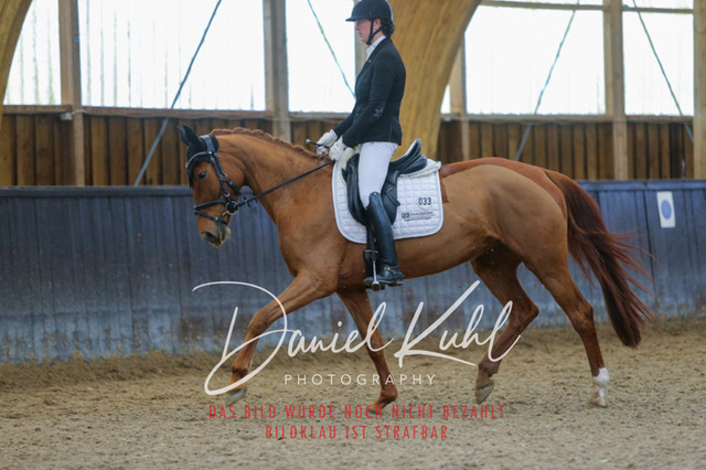 IMG_0604 | Turniersportfotografie; Pferdefotografie; Dressurfotografie