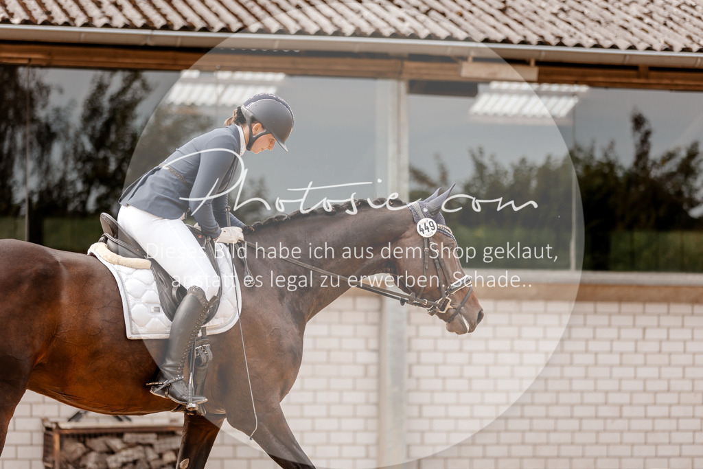 3I6A3651 | Stimmungsvolle Portraits und Reitsportfotografie im Ruhrgebiet und im Münsterland.

Pferdefotografie, Hundefotografie, Tierfotografie, Reportagen, Portraits von Tier und Mensch, Turnierfotografie in Bochum, Recklinghausen, Marl, Haltern am See, Dülmen.. - Realisiert mit Pictrs.com