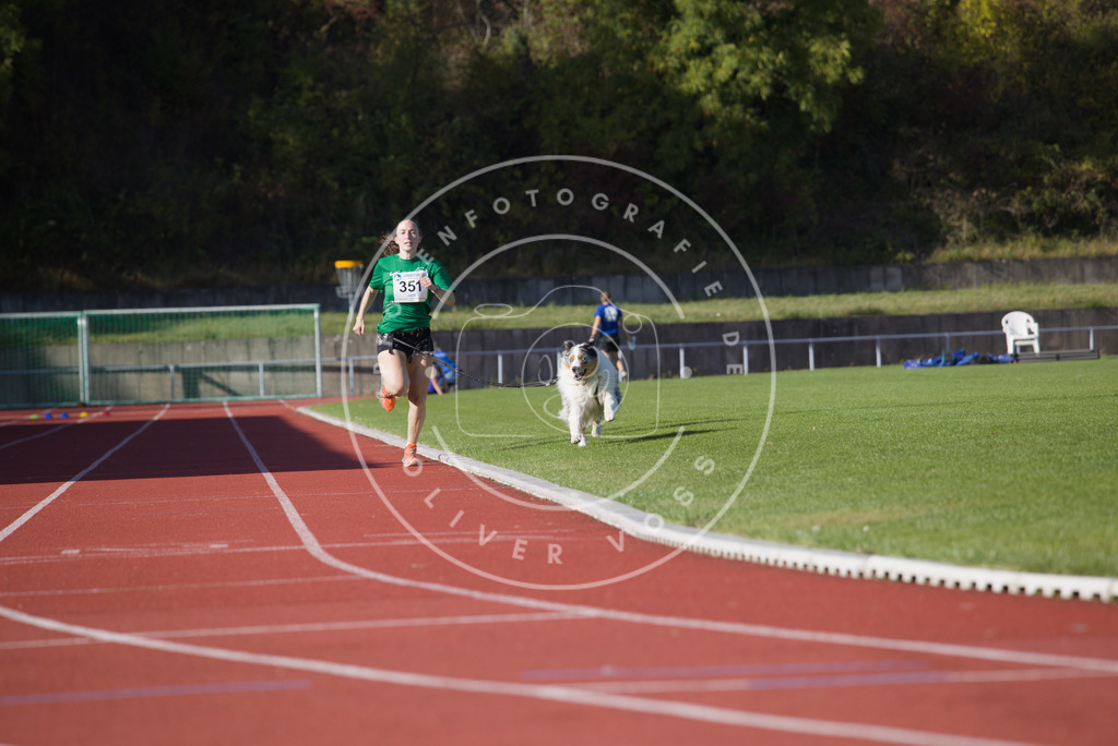 0L8A9697 | Hundefotografie, Tierfotograf, Pfotenfotografie, Fotoshooting Hund, Hunde Portrait, Hundesport, Hundeportraits, Heideshooting, Hunde, Sportfotograf, Hundefotograf, Turnierhundsport, THS,  - Realisiert mit Pictrs.com