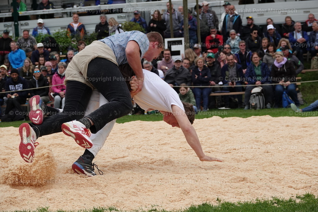 DSC03327 | Schwingen - Realisiert mit Pictrs.com