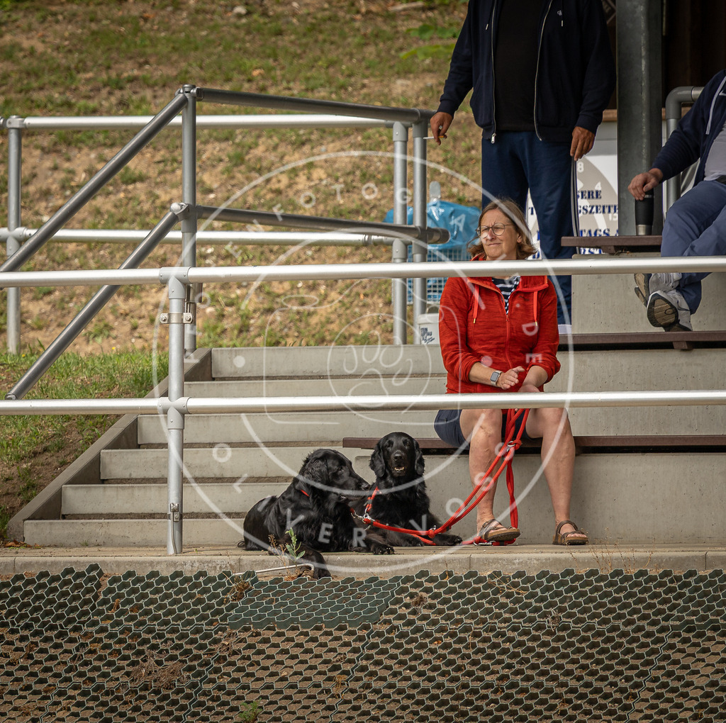 Pfotenfotografie_DV3A1790 | Hundefotografie, Tierfotograf, Pfotenfotografie, Fotoshooting Hund, Hunde Portrait, Hundesport, Hundeportraits, Heideshooting, Hunde, Sportfotograf, Hundefotograf, Turnierhundsport, THS,  - Realisiert mit Pictrs.com