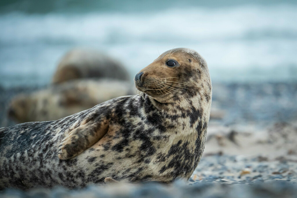 4D4105C1-97C7-4486-A0F4-4C7A4CDB0835 | <meta name="keywords" content="Bergbilder, Hochzeitsfotografie, Actionshootings, Fotografiearbeiten, Berglandschaften, Naturfotografie">

 - Realisiert mit Pictrs.com