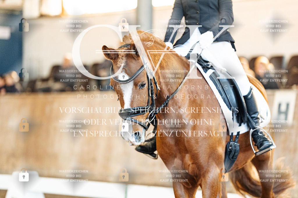CK908187 | Turnierfotografie Pferdefotografie Trier Rheinland-Pfalz Pferdesport Reitsport Tierfotografie Sportfotografie Pferdevideo Pferdevideografie Equestrianvideography equestrianphotography  - Realized with Pictrs.com