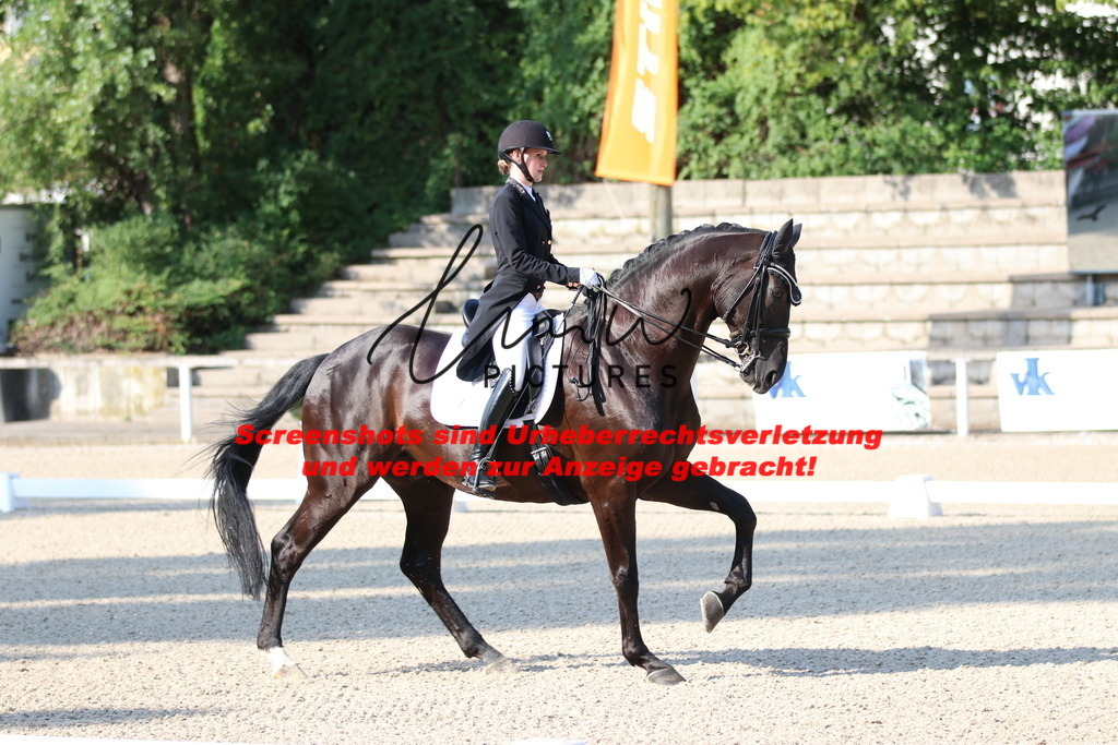 IMG_8817 | lmwpictures - Realisiert mit Pictrs.com