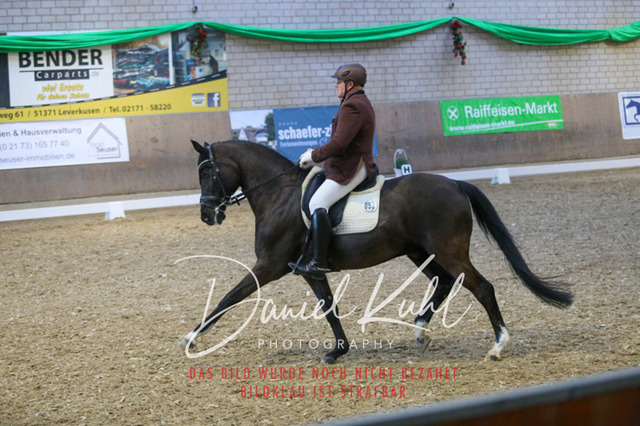 IMG_2842 | Turnierfotos kaufen im Webshop von Daniel Kuhl Photography – entdecke professionelle Reitsportfotos aus Turnieren & Events. Hochwertige Turnierbilder online bestellen & sichern. Jetzt Fotos von Reitsportturnieren kaufen!