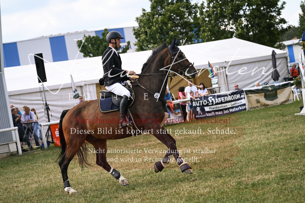 DSC_0842 | Pferde- und Turnierfotografie in Westsachsen. Pferdeportraits, Auftragszeichnungen und intuitive Kunst.