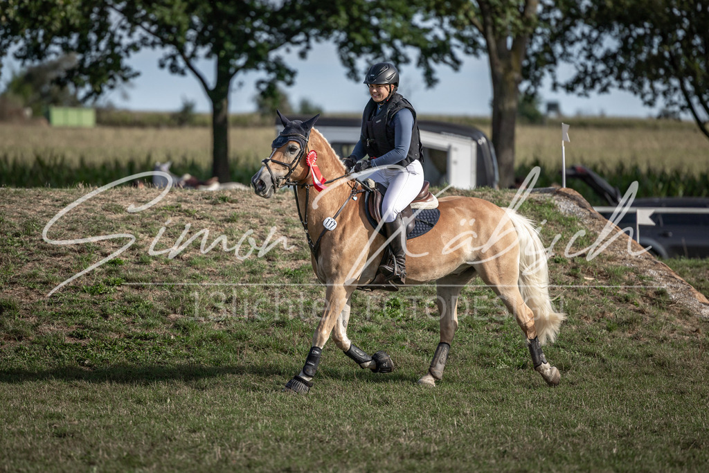 20250907-_3LI9106 | Tierfotografie Pferde, Hunde, Katzen, Haustiere.
Turnierfotografie Reitturniere, Reiten, Springreiten, Dressur in Hanau, dem Main-Kinzig-Kreis und dem Rhein-Main- Gebiet um Frankfurt