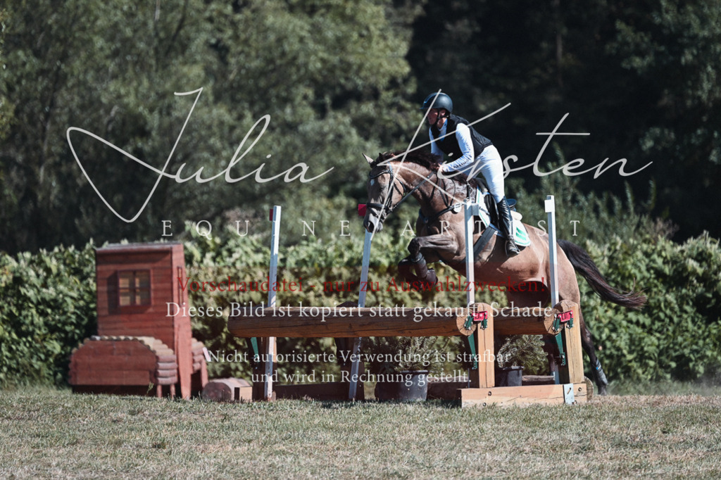 DSC_8681 | Pferde- und Turnierfotografie in Westsachsen. Pferdeportraits, Auftragszeichnungen und intuitive Kunst.