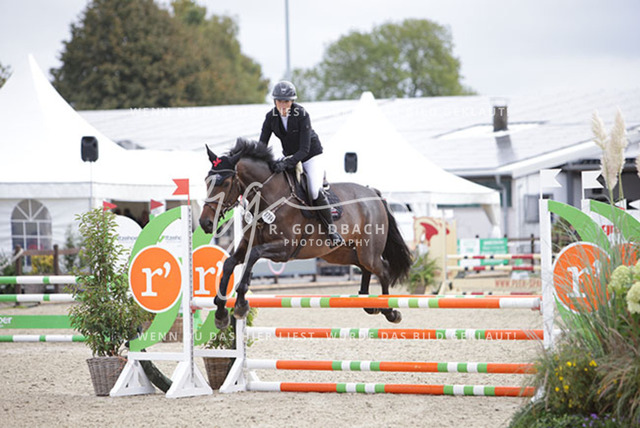 1J2A0633Nena Hopp_ Nobel Classic_ Kn794_ Havekost | Foto- und Videografie für alles rund ums Pferd. Hochwertige Bilder und Videos vom Spring- und Dressurreiten, Voltigieren & mehr. Jetzt aktuelle Veranstaltungen und Preise im Shop ansehen. - Realisiert mit Pictrs.com