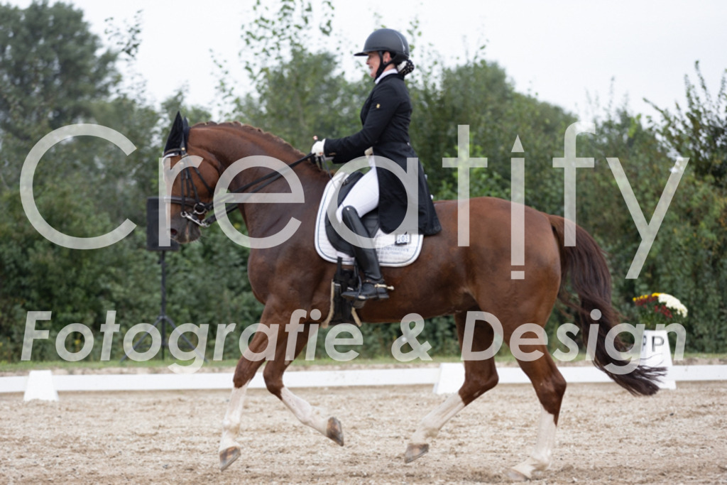 IMG_5771 | Creatify Fotografie