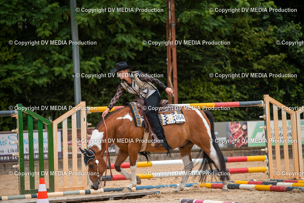 ZS2_7932 | dv-media-shop - Realisiert mit Pictrs.com