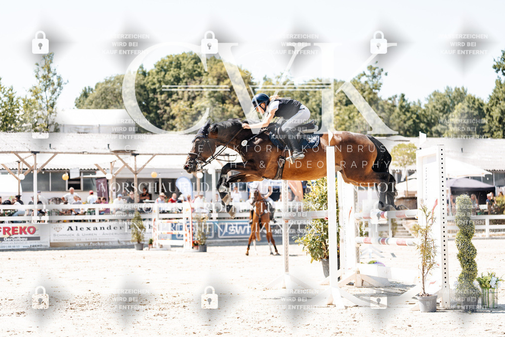 CK900061 | Turnierfotografie Pferdefotografie Trier Rheinland-Pfalz Pferdesport Reitsport Tierfotografie Sportfotografie Pferdevideo Pferdevideografie Equestrianvideography equestrianphotography  - Realisiert mit Pictrs.com