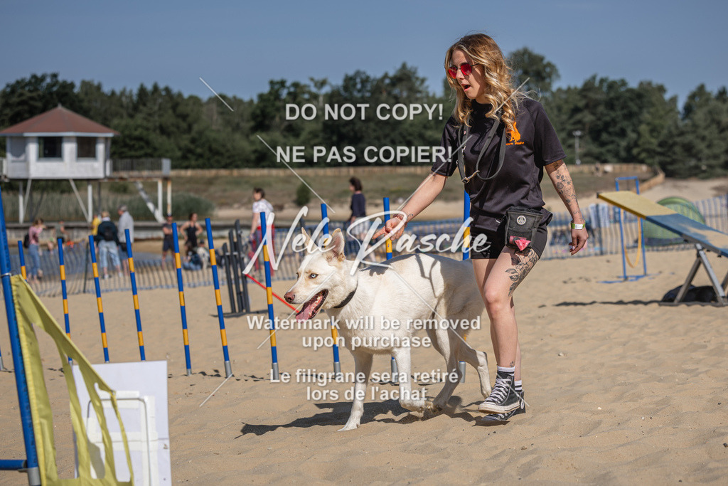 nelerasche_saBeachility_157 | nelerasche