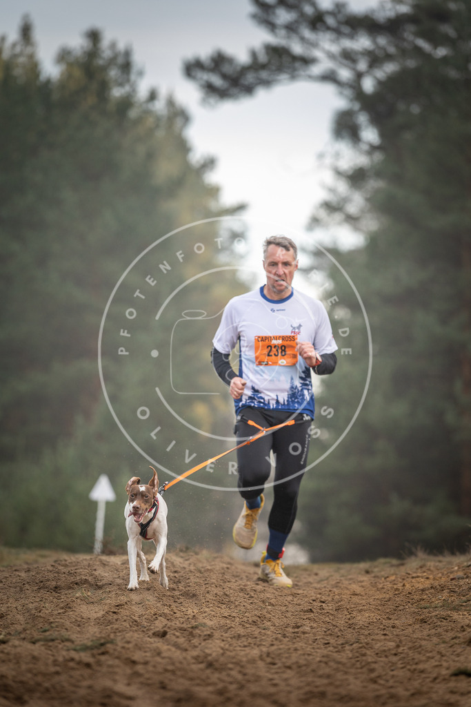 Pfotenfotografie_DV3A5637 | Hundefotografie, Tierfotograf, Pfotenfotografie, Fotoshooting Hund, Hunde Portrait, Hundesport, Hundeportraits, Heideshooting, Hunde, Sportfotograf, Hundefotograf, Turnierhundsport, THS,  - Realisiert mit Pictrs.com