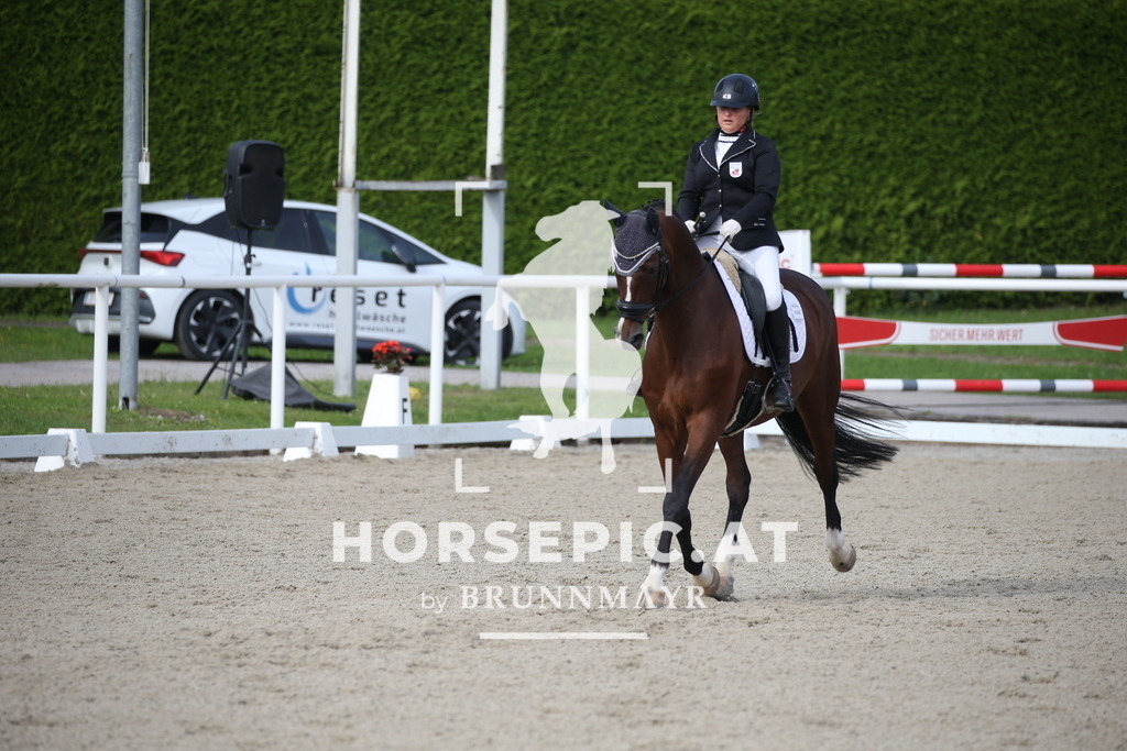 DL2Q2202 | Willkommen bei Brunnmayr - Design & Fotografie – Ihrem Spezialisten für Reitturniere und Pferdeveranstaltungen in Oberösterreich, Salzburg und Bayern! Seit über 17 Jahren sind wir leidenschaftlich dabei.