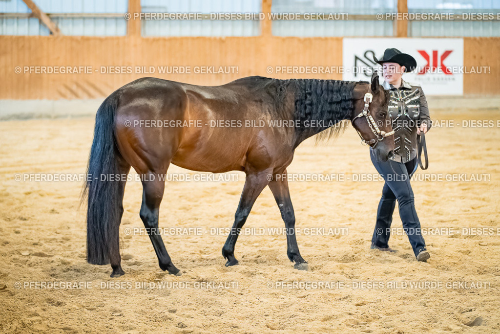 DSC09832 | Pferdegrafie