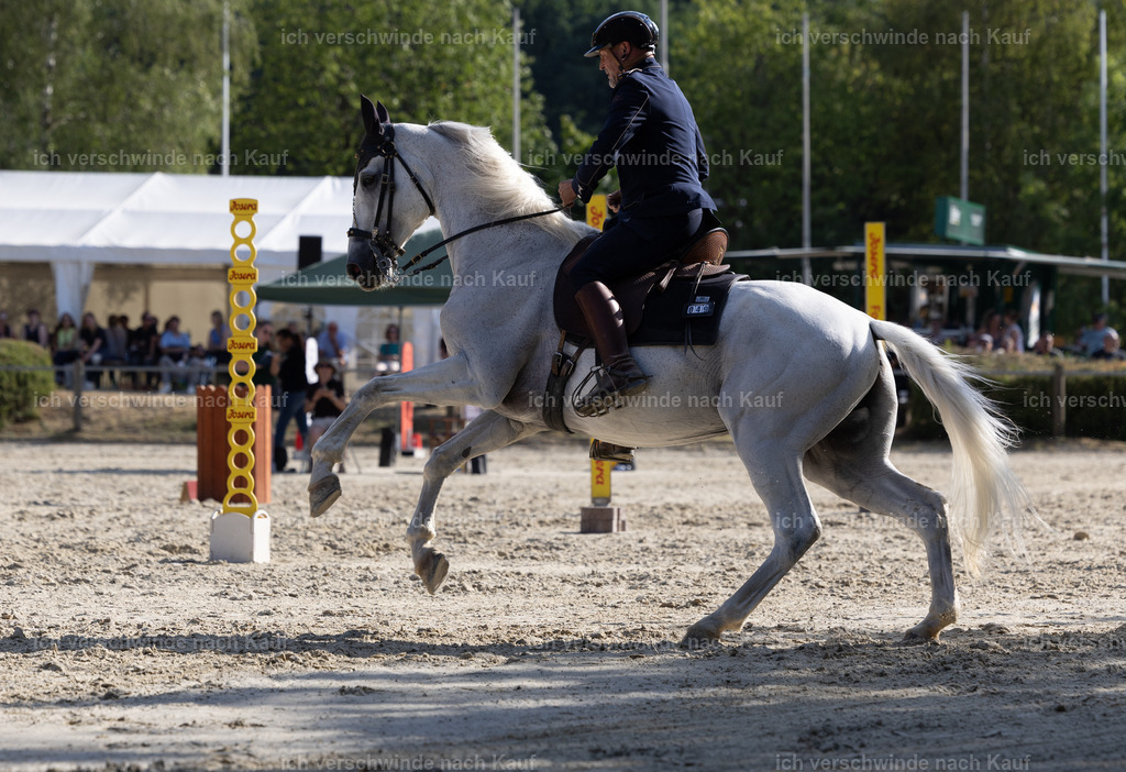 WS_SPEED_26_KerstinBernhardt49-5 | working equitationturnier fotograf videograf stoibphotography marixx film working equitation deutschland reitsport turnierfotografie eventfotografie equestrian events