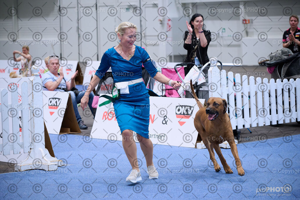 202406_ÖKV-IHA-Tulln24_NZ9_8824 | proPHOTO - Realisiert mit Pictrs.com